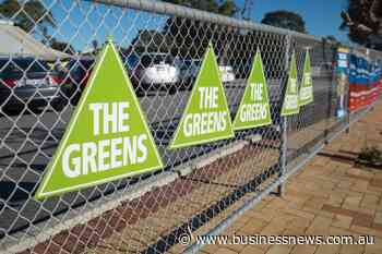 Greens leader suddenly quits after health 'downturn'