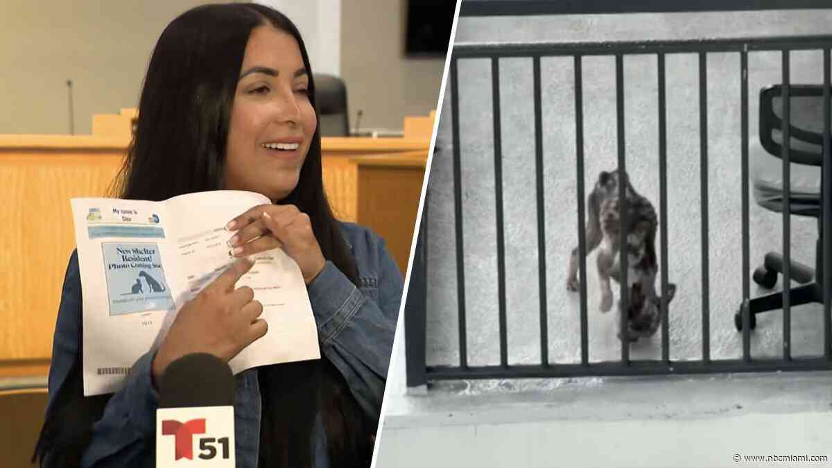 Woman who called 911 after neglected dog seen on Miami high-rise approved to adopt it