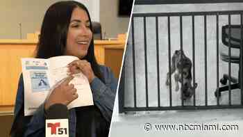 Woman who called 911 after neglected dog seen on Miami high-rise approved to adopt it