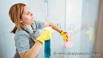 Wiping shower screens with 1 natural item makes it impossible for limescale stains to form