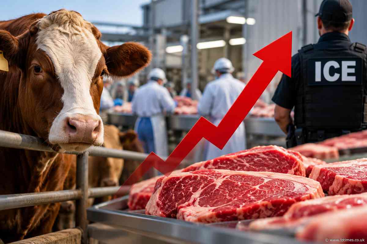 US Beef Prices Could Rise as ICE Arrests Leave Meat Workers Too Afraid to Go to Work