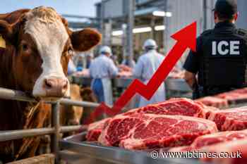 US Beef Prices Could Rise as ICE Arrests Leave Meat Workers Too Afraid to Go to Work