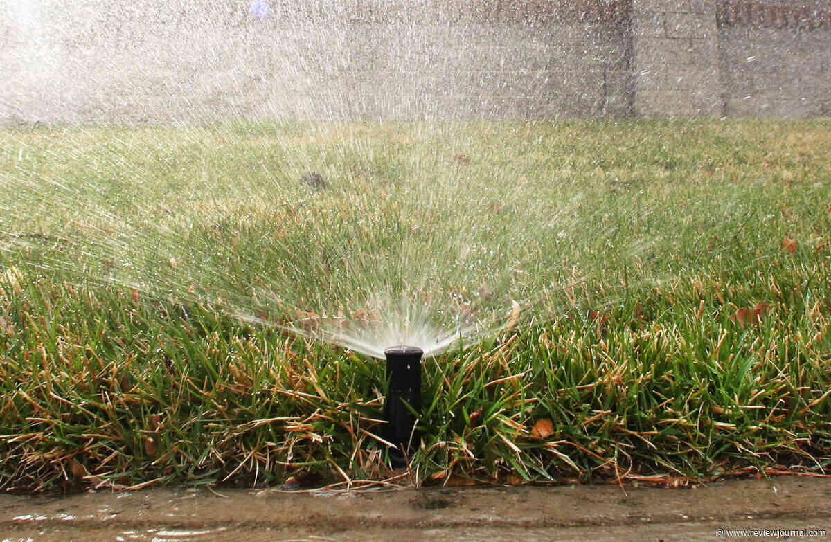 Las Vegas HOAs, businesses soon to be fined if they water ‘nonfunctional’ grass