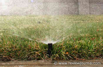 Las Vegas HOAs, businesses soon to be fined if they water ‘nonfunctional’ grass