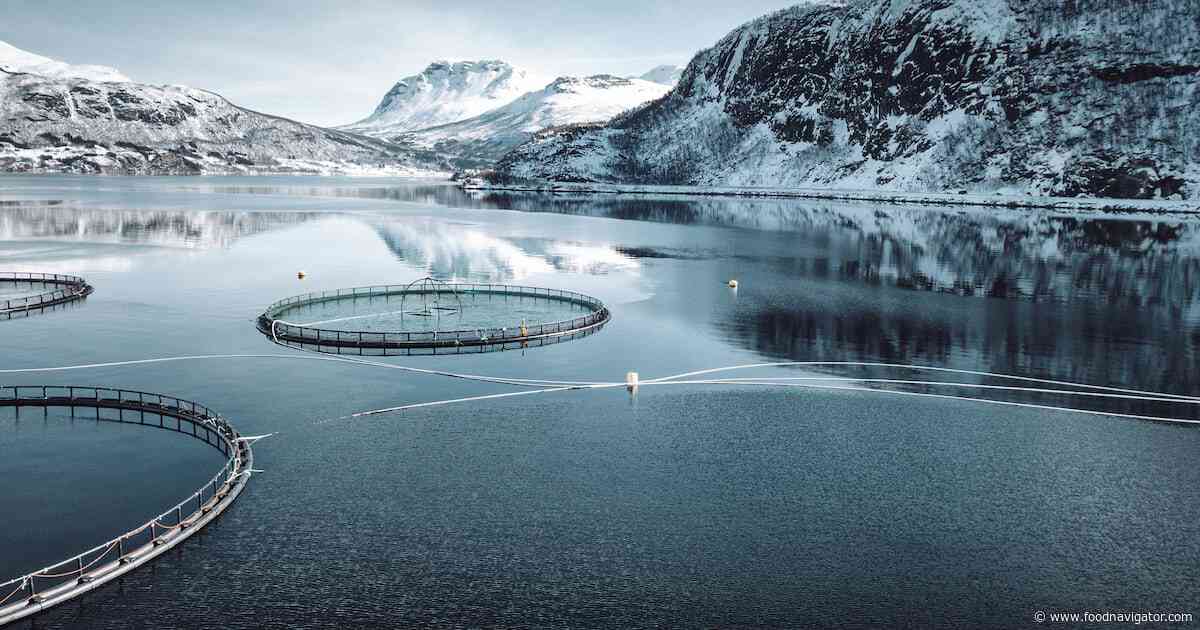 3 underestimated sustainability risks to global food supply