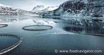 3 underestimated sustainability risks to global food supply