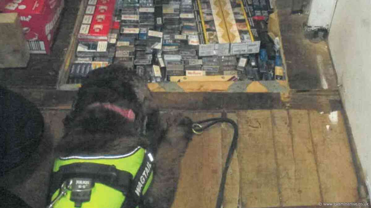 Four Yorkshire shops behind illegal activities are still continuing to commit crimes