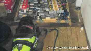 Four Yorkshire shops behind illegal activities are still continuing to commit crimes