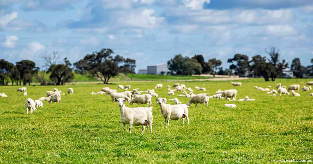 Turn key blue ribbon farming on 850ha up for grabs in Upper South East