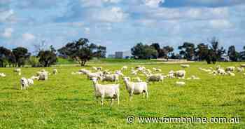 Turn key blue ribbon farming on 850ha up for grabs in Upper South East