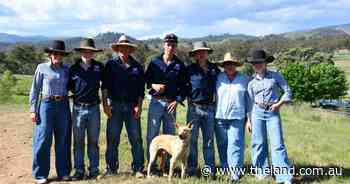 Worker who can handle sheep, cattle and feral goat musters goes for serious price