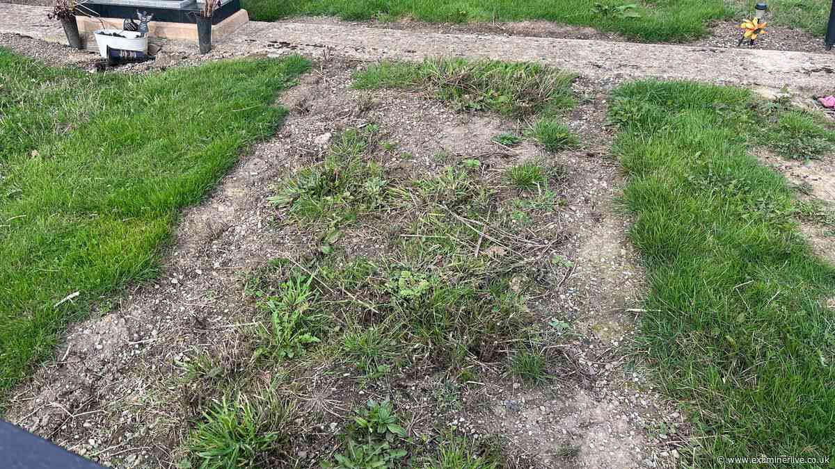 Unmarked grave for Jake Mangle-Wurzel set for makeover with lasting legacy gesture