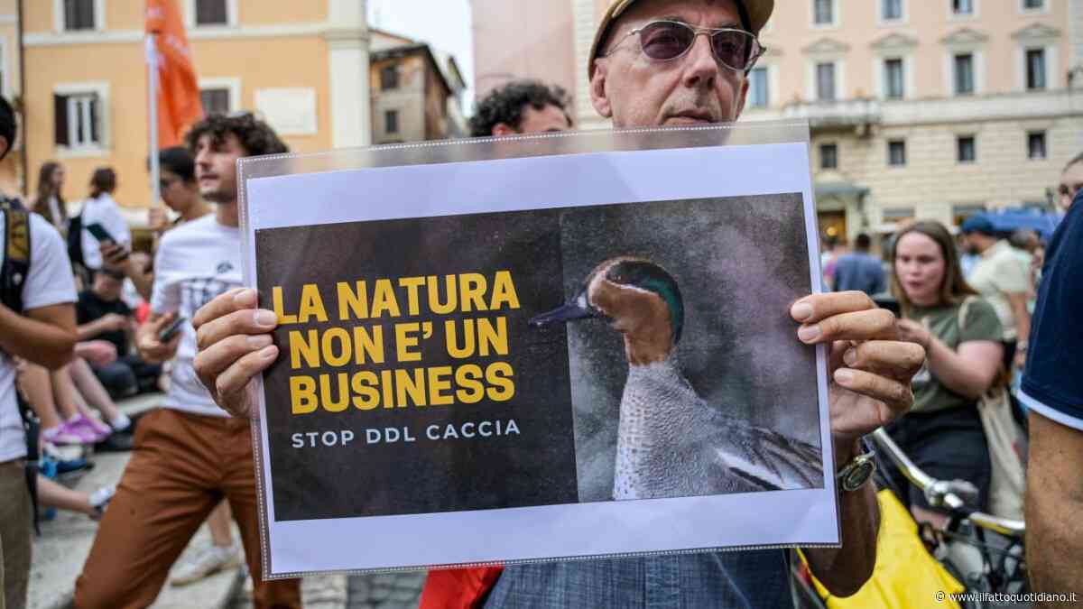 No alla tagliola sul ddl Caccia. Chi uccide un animale non è un ‘bioregolatore’