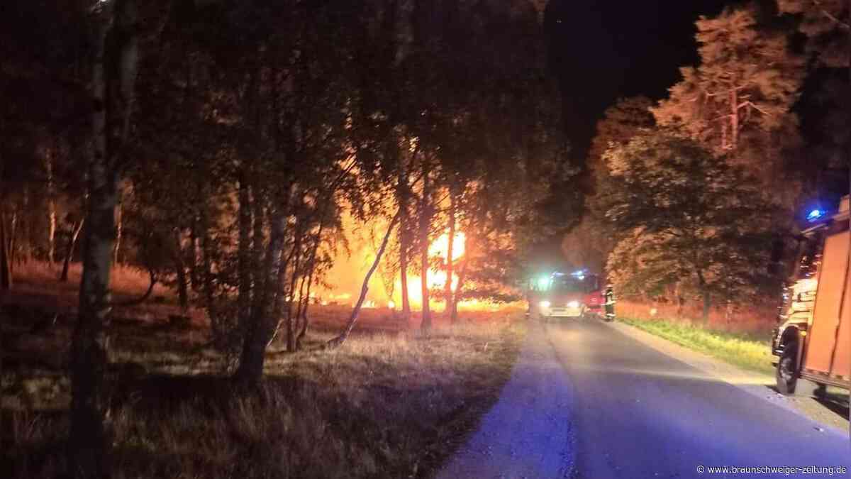 Feuerwehren löschen Waldbrand bei Uhry – 60 Einsatzkräfte verhindern Ausbreitung