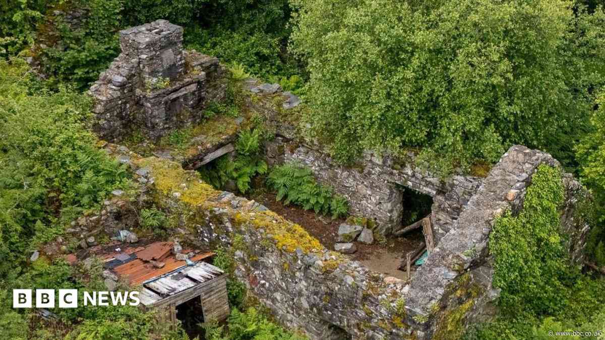 House up for auction for £17k - but it doesn't have a roof