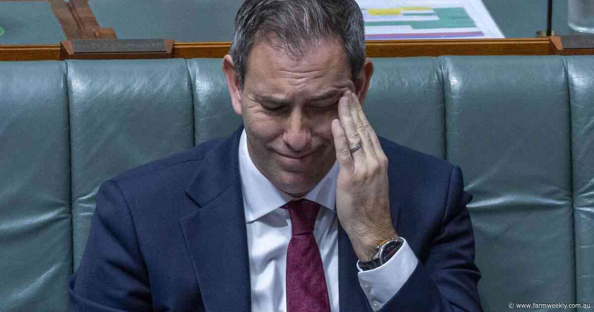 RBA lifts cash rate to 15-year high as government tax take nears record