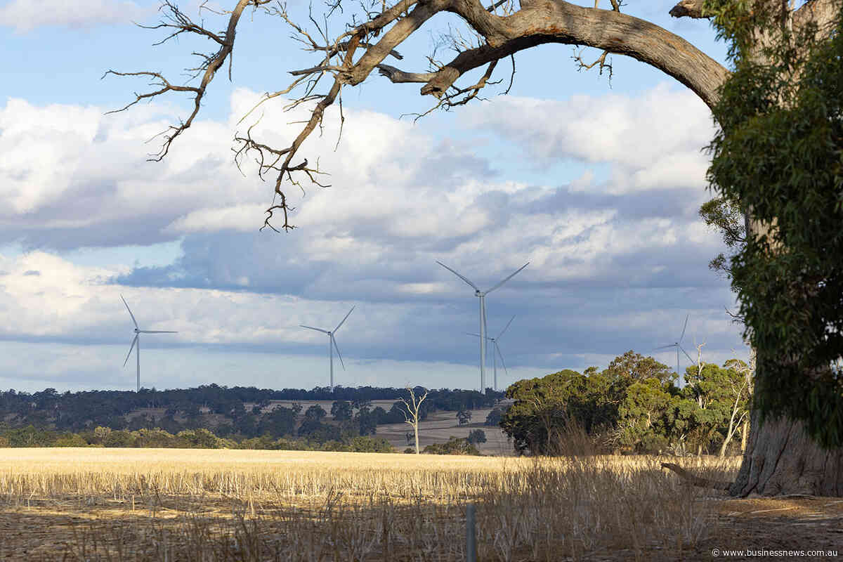 Kojonup Wind Farm highlights tension between developers, farmers and government