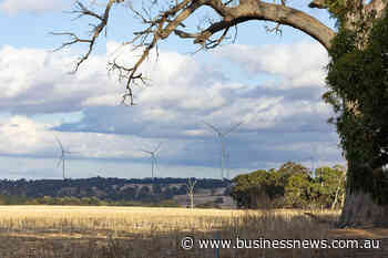 Kojonup Wind Farm highlights tension between developers, farmers and government