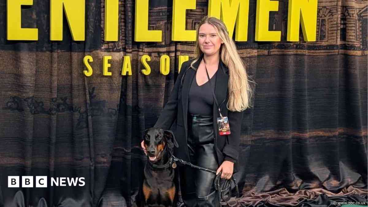 From ads to The Gentlemen red carpet - training dogs for TV