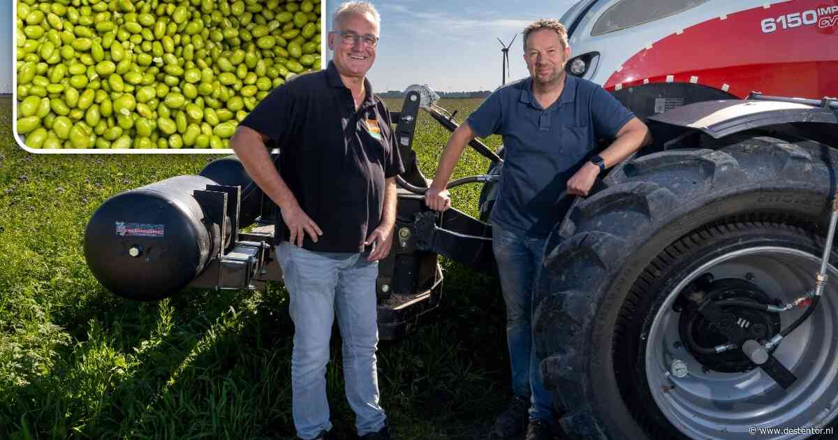 Wat deze pokébowl-boon aan het oplossen van de stikstofcrisis kan bijdragen