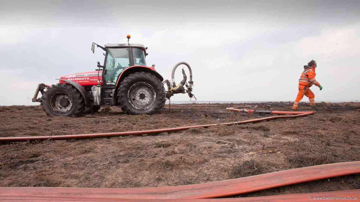 'Horrific' wildfire crimes 'going unpunished' with only 41 convictions