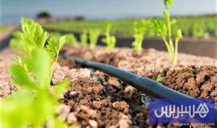 81 مليون درهم لمشروع ري في تادلة