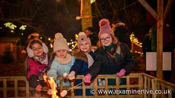 New Wonka-inspired festive attraction coming to Yorkshire this Christmas