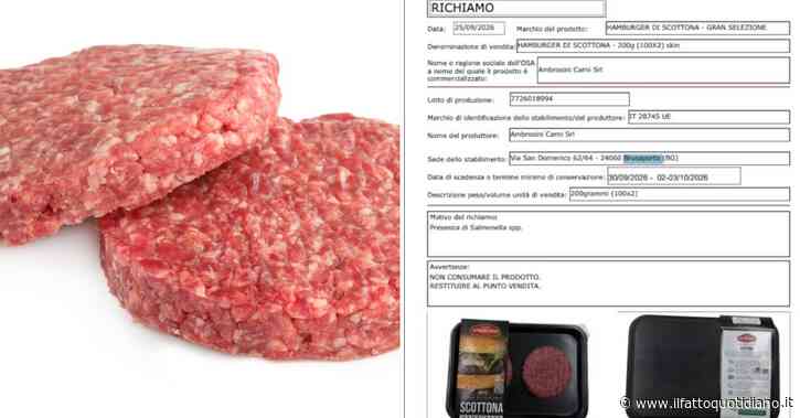 Allarme Salmonella: il Ministero della Salute richiama un lotto di hamburger di scottona a marchio Ambrosini