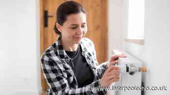 Simple £2 radiator trick could help keep your home warmer for longer