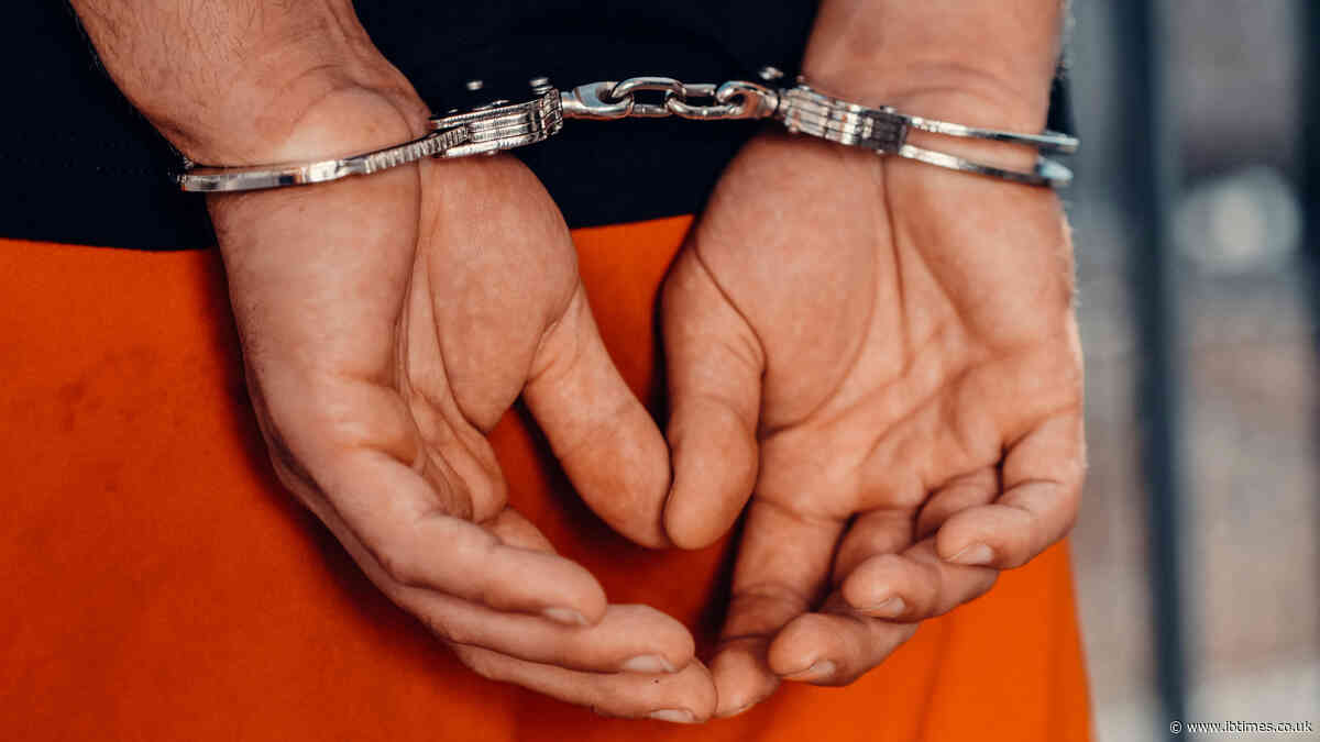 200-Pound Teenage Boy Arrested for Raping 37-Year-Old Delivery Woman in NYC
