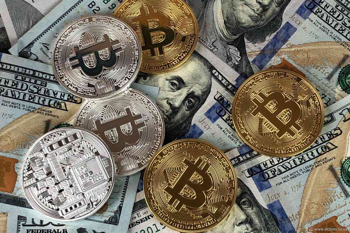 Sheriff in Nancy Guthrie Case Unaware of Any New Bitcoin Ransom Demand Despite Viral Claims on Social Media