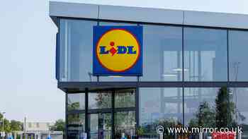 New Lidl £35 casserole dish similar to £315 Le Creuset version out Thursday