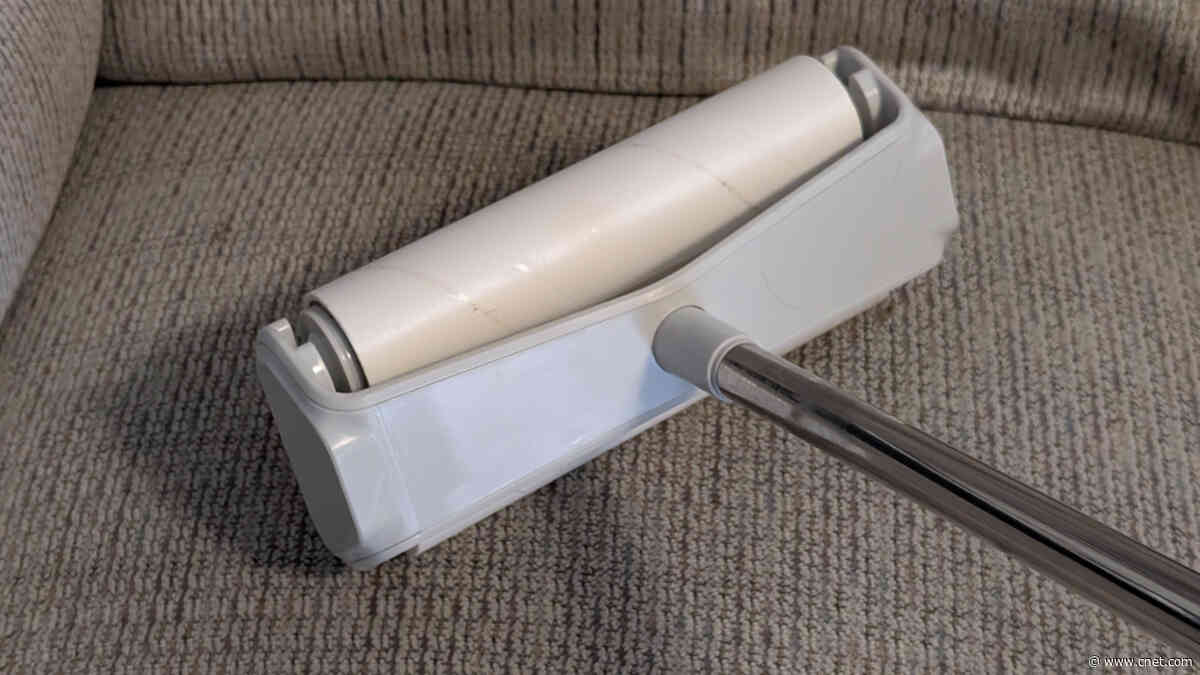 Pet Hair Everywhere? This $30 Roller Removes It From Places a Vacuum Simply Can’t