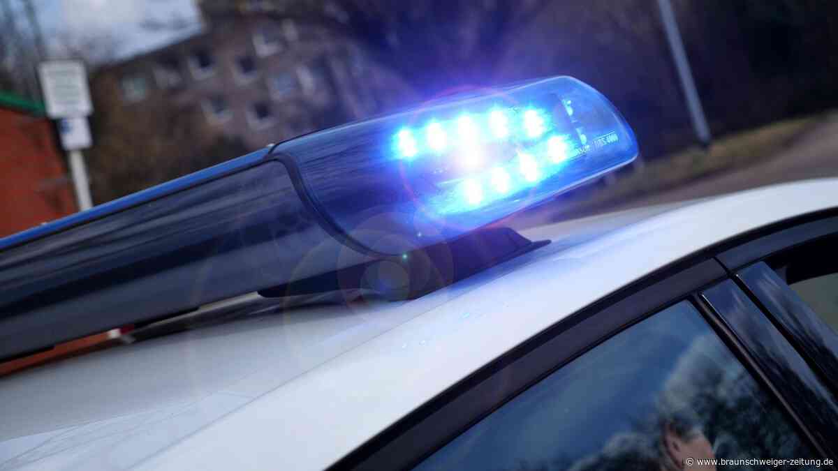 Zwei Rottweiler beißen zehnjähriges Mädchen in Dettum