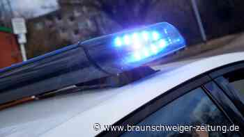 Zwei Rottweiler beißen zehnjähriges Mädchen in Dettum