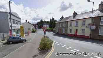 Armed police rush to Newcastle Emlyn after man seen carrying axe