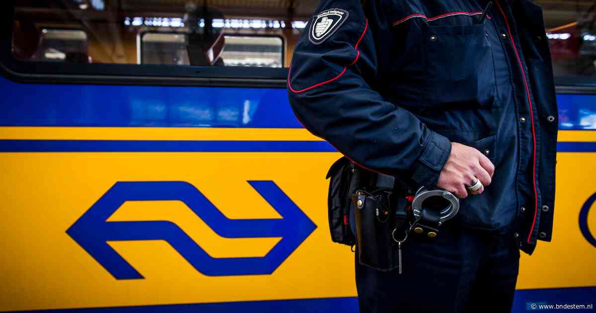 Ov-boa’s krijgen toegang tot rijbewijzenregister en kunnen vaker zelf boetes uitdelen