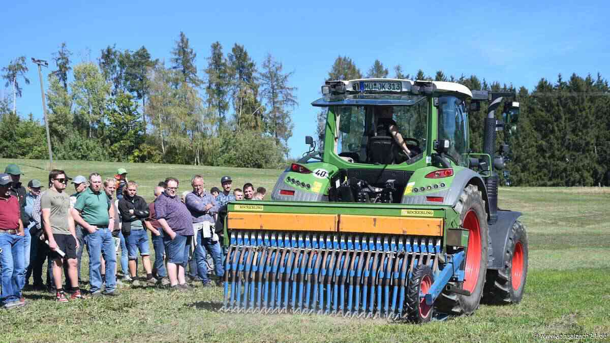 Bauern bangen nach Dürre: Gibt es genug Futter fürs Vieh? Was Experten in Lohkirchen jetzt raten
