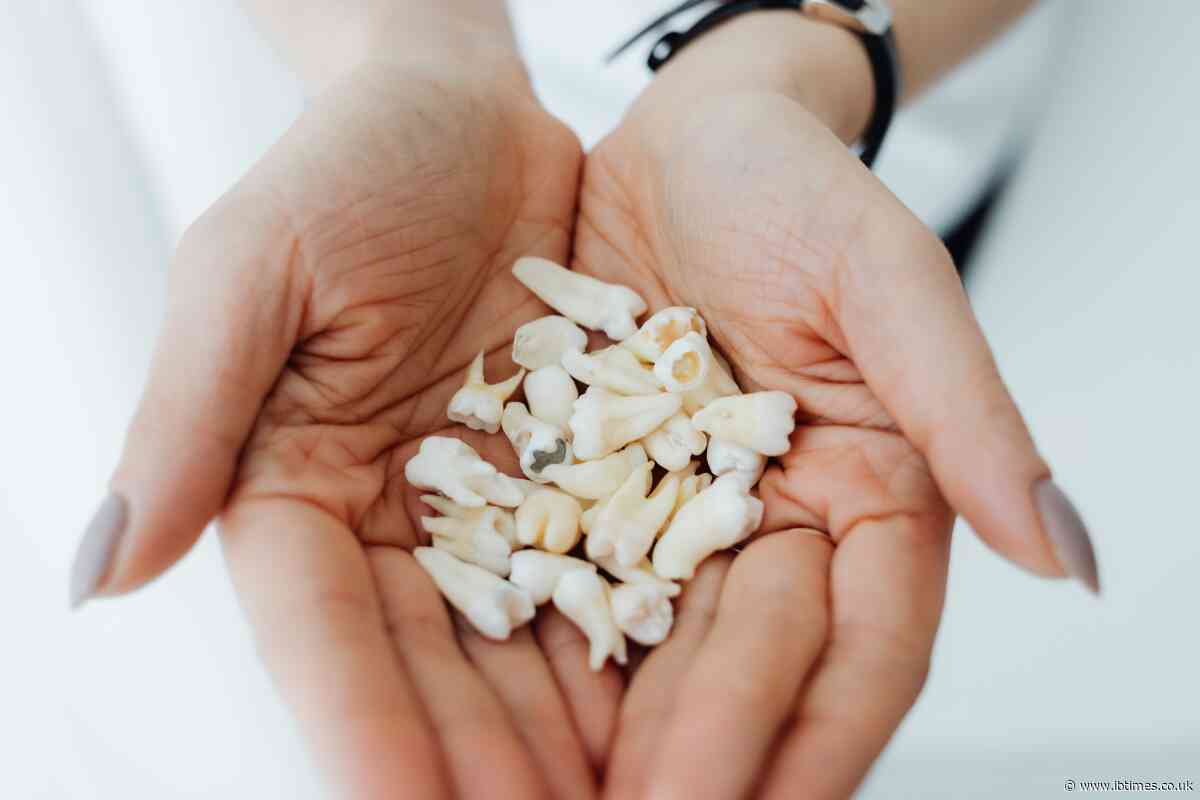 1,600 Baby Teeth, but How Many Children? The Chilling Forensic Mystery in Mexico