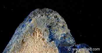 Plastic Is Melting Onto Corals
