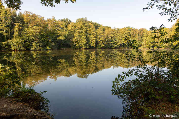Badeverbot im Kleinen Opfinger See