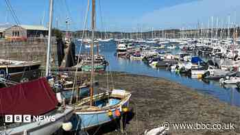 Immigration arrests after people come off boat