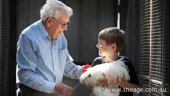 Poultry fanciers’ show dreams fail to hatch after bird flu scare