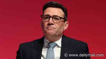 Andy Burnham creates 'GB Grid' quango for energy as he pushes Left-wing nationalisation agenda