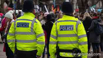 Police arrest 17 in huge operation targeting suspected organised crime group: More than 800 officers deployed in dawn raids across London and four counties
