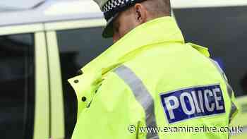 Police dog Lottie sniffs out suspect after Hull homes and cars targeted