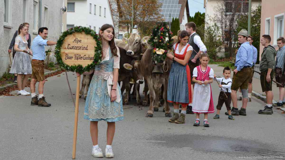 Tradition im Allgäu: So läuft der Viehscheid in Oberschönegg ab