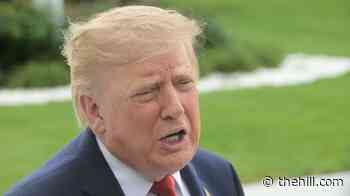 Tariff challengers take Trump back to court: 'Rinse and repeat'
