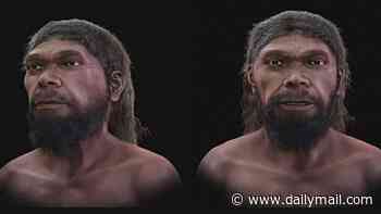 The first face of mankind? Ancient human who lived 315,000 years ago is brought back to life in stunning digital reconstruction