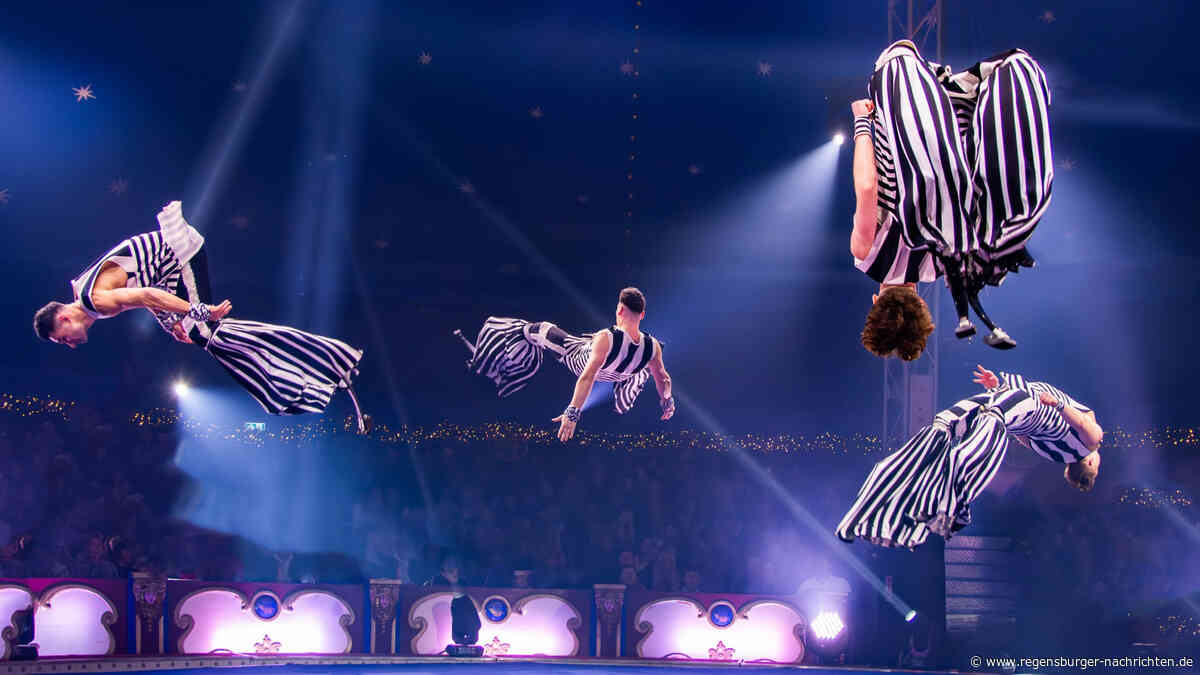 Regensburger Weihnachtscircus bringt Publikumslieblinge zur?ck